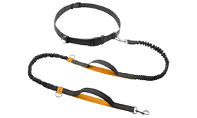 Freihändig laufende einziehbare Hundeleine Orange hands-free Hundeleine zum Laufen, 70 - 120 cm, 2,5 cm breit, verstellbarer Gürtel, gepolsterte Griffe.