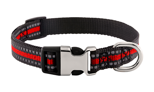 Reflektierendes Hundehalsband mit Schnalle
