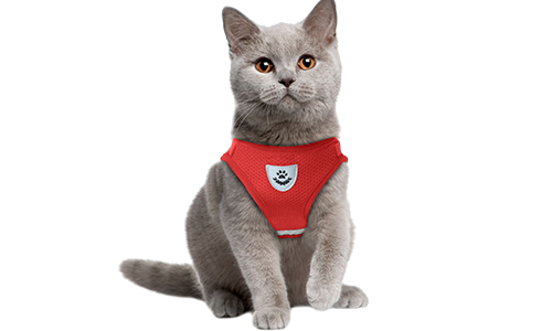 Rote reflektierende Katzen-Geschirrweste mit passender Leine, atmungsaktives Mesh-Gewebe und eine 120 cm Leine.