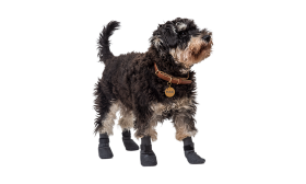 Set aus vier Hundeschuhsocken in Grau mit rutschfesten Sohlen, leicht, mit rutschfestem Gummi.