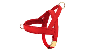 Hundegeschirr-Set mit Halsband und Leine Rotes Hundegeschirr-Set mit passendem Halsband und Leine, leicht, mit goldenen Metallschnallen und D-Ring.