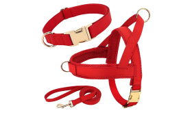 Hundegeschirr-Set mit Halsband und Leine Rotes Hundegeschirr-Set mit passendem Halsband und Leine, leicht, langlebig und robust, bequeme und sichere Passform.