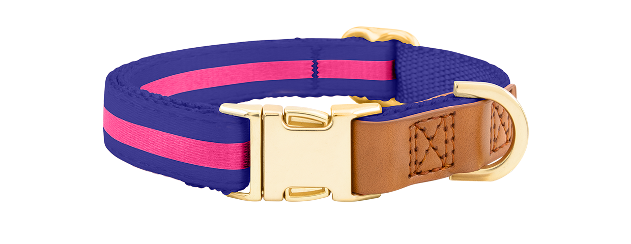 Hundehalsband mit Goldener Schnalle Blaues Hundehalsband mit verstellbarem goldenen Metallverschluss, 33-55 cm Länge und 2 cm breit, mit D-Ring.