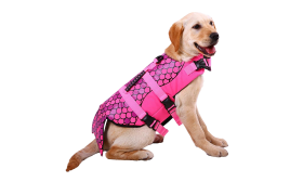 Stylische Hundeschwimmweste - Meerjungfrau Meerjungfrau-themed Hundeschwimmweste in Pink mit Schuppenmuster, für Auftrieb. Geeignet für verschiedene Hundetypen.