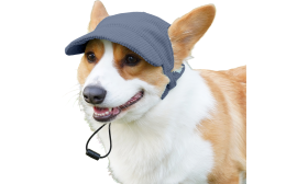 Corgi trägt einen atmungsaktiven blauen Hundesporthut, modisch, weich, leichtes Canvas-Material für Komfort.