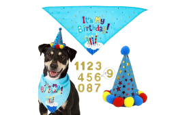 Bandana-Set für Hundegeburtstage Blaues Hundebirthday-Set mit buntem 'It's My Birthday!' Bandana, leicht für Komfort.