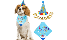 Bandana-Set für Hundegeburtstage Blaues Hundebirthday-Set mit buntem 'It's My Birthday!' Bandana, weich und langlebig.