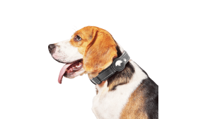 Reflektierendes Airtag Hundehalsband Schwarze reflektierende Hundemarke mit Airtag-Halter, verstellbar, leichtes Nylon, versiegelter Schutz und Haltbarkeit.