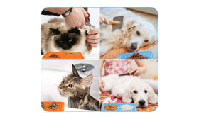 Ungiftige Hundeleckmatte mit Spatel Ungiftige Hundeleckmatte mit Spatel