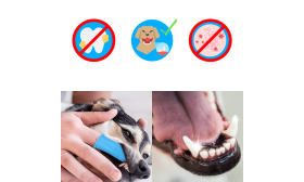 360º Silikon Fingerzahnbürste für Hunde