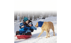 Anti-Angst-Hundeschnuller für Lärm-, Ohren- und Winterschutz Anti-Angst-Hundeschnuller für Lärm-, Ohren- und Winterschutz