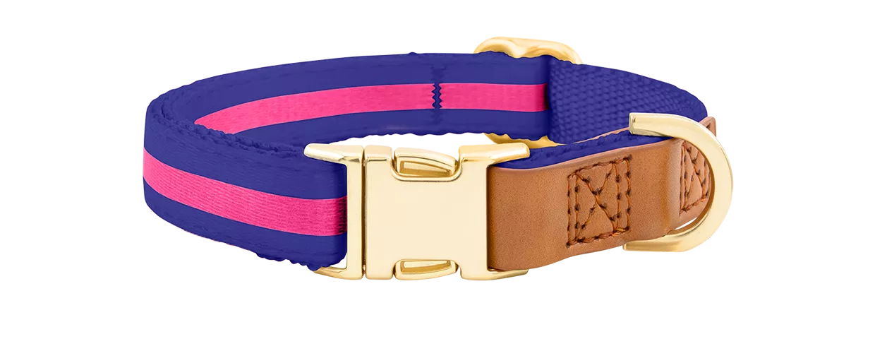 Hundehalsband mit Gravierter Goldschnalle Blaues Hundehalsband mit goldener Metallschnalle für die Gravur des Hundenamens, 27-40 cm lang, mit D-Ring.
