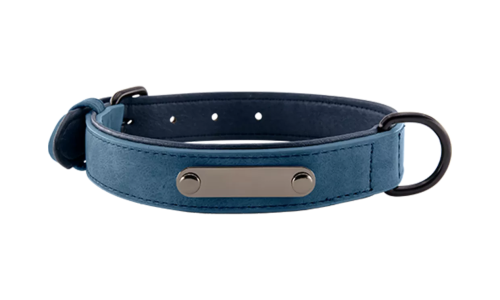 Luxuriöses Hundehalsband mit Samtgravur Luxuriöses Hundehalsband mit Samtgravur