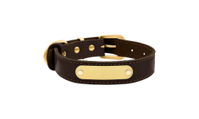 Luxuriöses Hundehalsband aus Echtem Leder mit Gravur Luxus Hundehalsband aus echtem Leder in Braun mit eingebauter goldener ID-Platte zur Gravur des Hundenamens, 47-51 cm lang.
