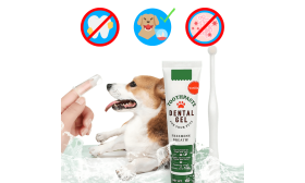 Komplettes Zahnpflegeset für Hunde: Zahnbürste, 2 Fingerbürsten und Vanille-Zahnpasta Komplettes Zahnpflegeset für Hunde: Zahnbürste, 2 Fingerbürsten und Vanille-Zahnpasta