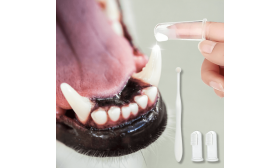 Komplettes Zahnpflegeset für Hunde: Zahnbürste, 2 Fingerbürsten und Vanille-Zahnpasta Komplettes Zahnpflegeset für Hunde: Zahnbürste, 2 Fingerbürsten und Vanille-Zahnpasta