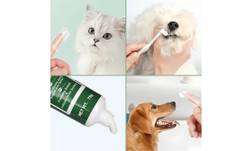 Komplettes Zahnpflegeset für Hunde: Zahnbürste, 2 Fingerbürsten und Vanille-Zahnpasta Komplettes Zahnpflegeset für Hunde: Zahnbürste, 2 Fingerbürsten und Vanille-Zahnpasta