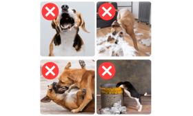 Verstellbarer, reflektierender Maulkorb für Hunde - atmungsaktiv und bequem Verstellbarer, reflektierender Maulkorb für Hunde - atmungsaktiv und bequem