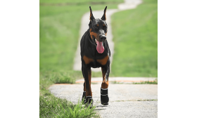 360° Reflektierende Hundeschuhe Wasserdicht – Rutschfeste Hundestiefel mit Pfotenschutz für maximale Sicherheit 360° Reflektierende Hundeschuhe Wasserdicht – Rutschfeste Hundestiefel mit Pfotenschutz für maximale Sicherheit