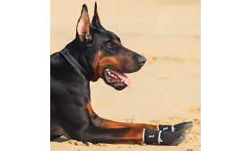 360° Reflektierende Hundeschuhe Wasserdicht – Rutschfeste Hundestiefel mit Pfotenschutz für maximale Sicherheit 360° Reflektierende Hundeschuhe Wasserdicht – Rutschfeste Hundestiefel mit Pfotenschutz für maximale Sicherheit