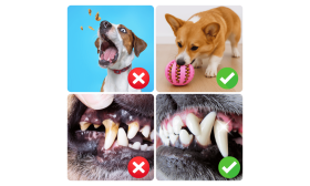 Interaktiver Futterball für Hunde – Kauspielzeug aus Gummi zur Beschäftigung Interaktiver Futterball für Hunde – Kauspielzeug aus Gummi zur Beschäftigung