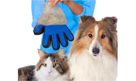 Fellpflegehandschuh für Hunde Person hält den blauen Pflegehandschuh neben einem Hund und einer Katze und zeigt seine Verwendung für die Pflege.