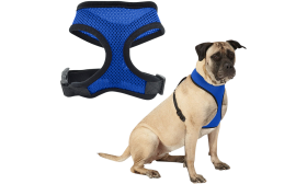 Hundegeschirr Blaues Mesh-Hundegeschirr, leicht, für Komfort designed, mit verstellbaren schwarzen Riemen und strapazierfähigem Clip.