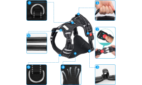 Anti-Zug Hundegeschirr Detailansicht des No-Pull-Hundegeschirrs, kleine Größe, strapazierfähige Schnallen, reflektierende Nähte.