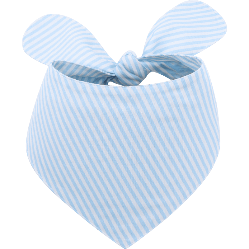 Stylisches Hundebandana